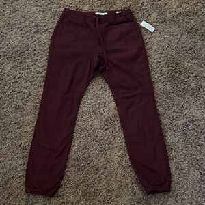 PacSun Maroon Jogger Pants